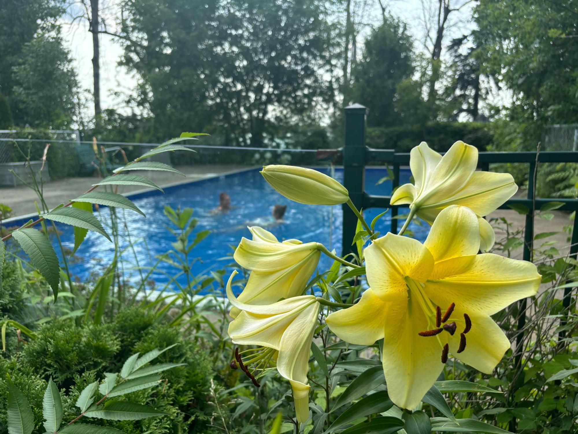 Le Charentais Motel Sorel-Tracy